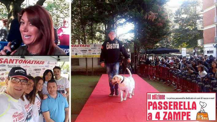 SUCCESSO PER LA ‘PASSERELLA A 4 ZAMPE’