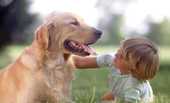 Le varie Motivazioni e le relative spiegazioni nella vita del cane