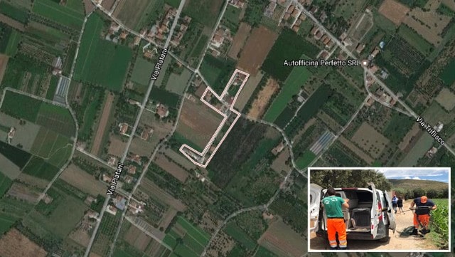 Bellona: strage di cani, prima avvelenati e poi dati al fuoco.
