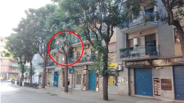 Via  Ferrarecce: il mistero dell’albero potato