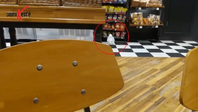 Ruba le patatine dal negozio e vola via