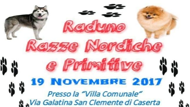 1° Raduno Razze nordiche e Primitive a S. Clemente
