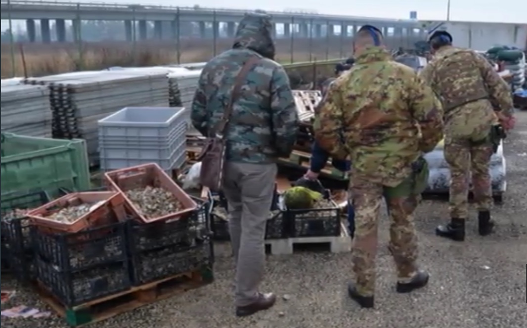 Esercito in Campo tra Napoli e Caserta: Sequestrata una Grossa Azienda Ittica