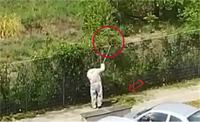 Ripulisce l’erba e la lancia in un terreno privato: incastrato da un video