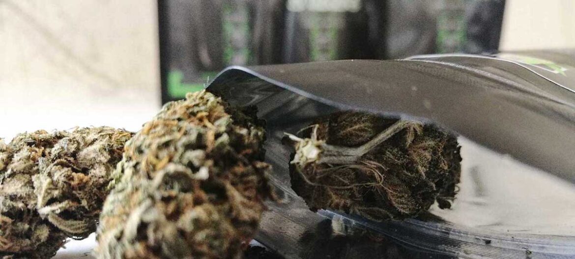 Cannabis light, continuano i sequestri dei punti vendita. La rabbia dei gestori: “Ci vogliono rovinare”