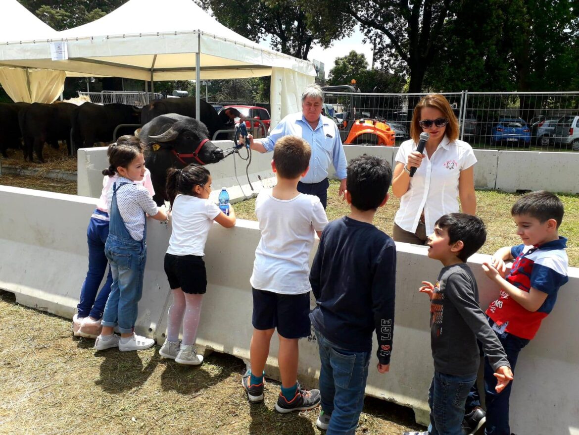 Il Bufala Village continua! Animali, laboratori e grandi emozioni: ecco cosa vi aspetta ai Giardini Maria Carolina