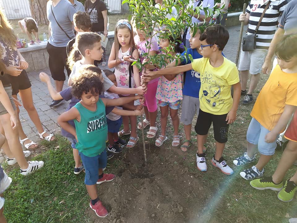 Piantare un albero per ogni nuovo nato, obbligo non rispettato