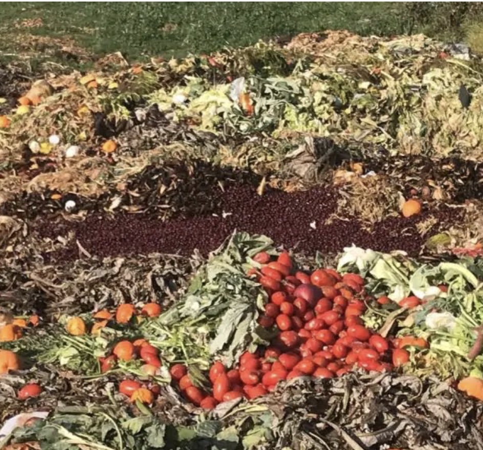 Sequestrata azienda agricola: frutta e verdura venduta tra i rifiuti