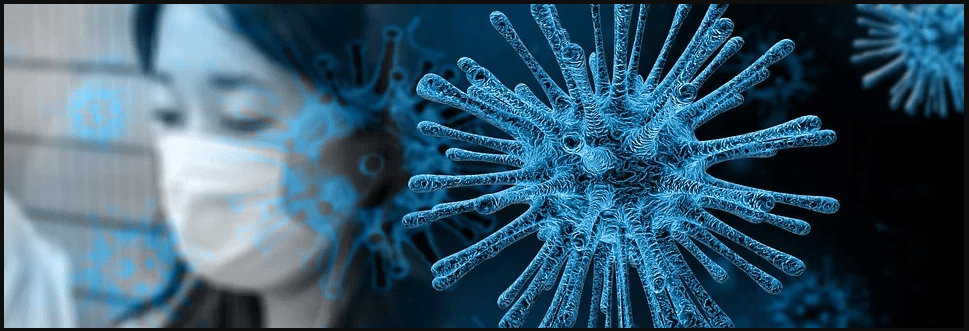 Homo lupus uomini = coronavirus