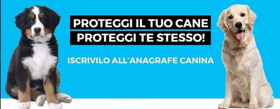 Ad Aversa parte verifica sistematica su microchip cani