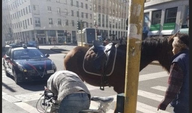 Coronavirus a Milano, portano il cavallo a passeggio nel centro: denunciate due donne