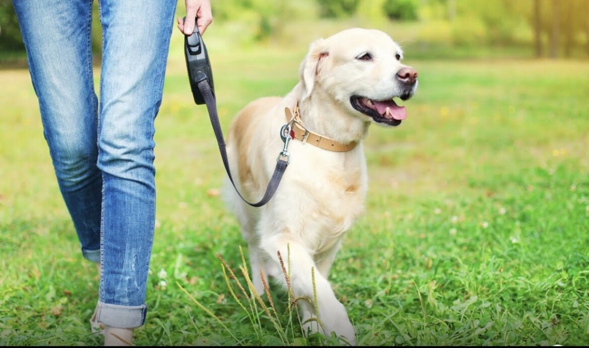 Coronavirus, si può fare sport e passeggiare? Facciamo chiarezza