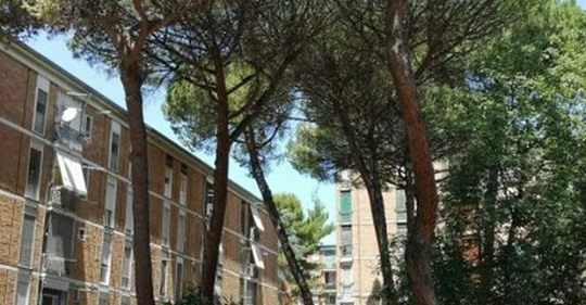 Alberi pericolosi a Rione Vanvitelli, il rischio è reale