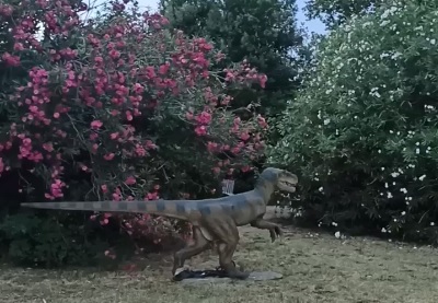 38 incredibili dinosauri sono arrivati nei Giardini di M.Carolina