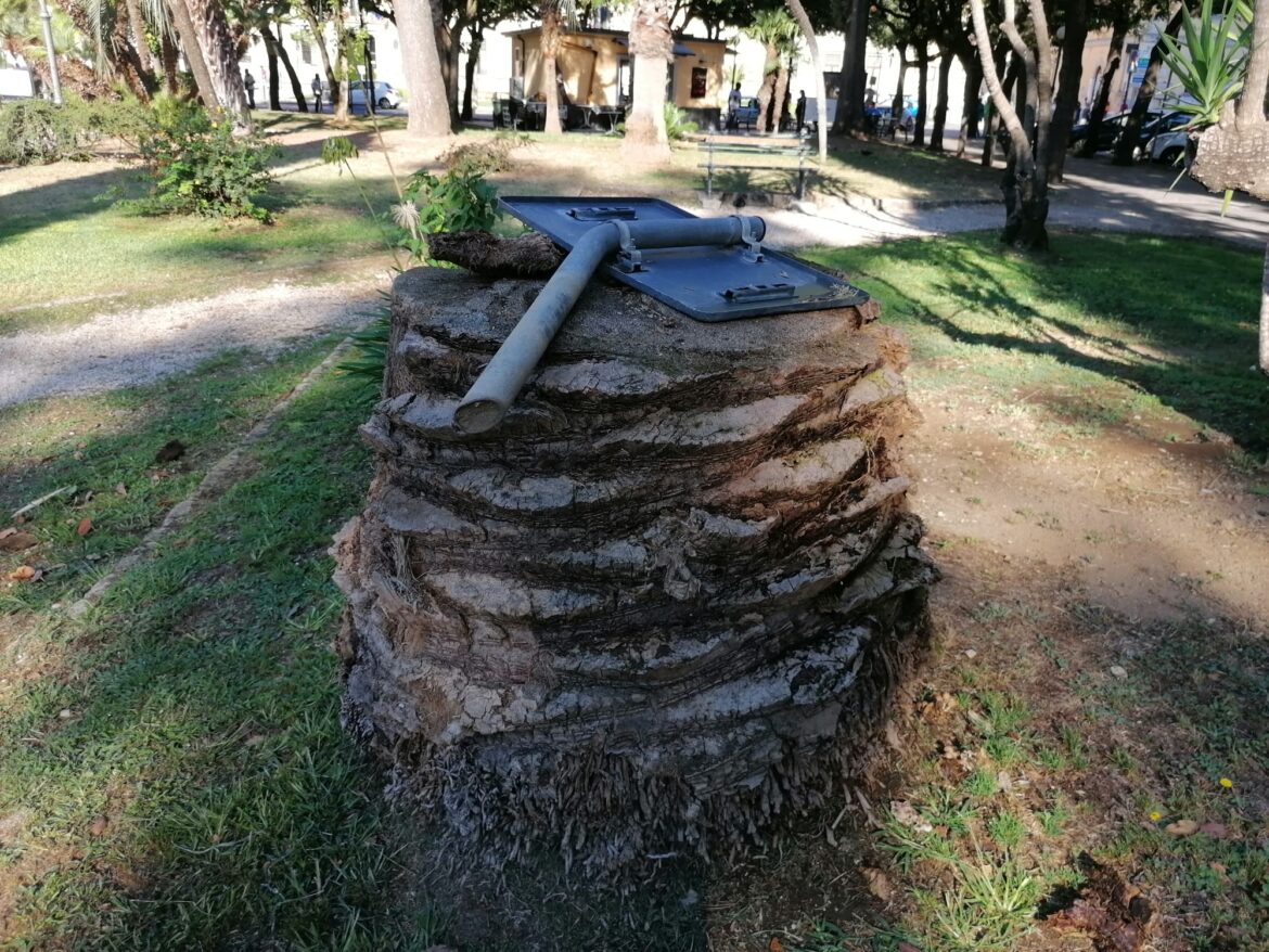 Fermare il taglio indiscriminato  e la capitozzatura degli alberi in città.