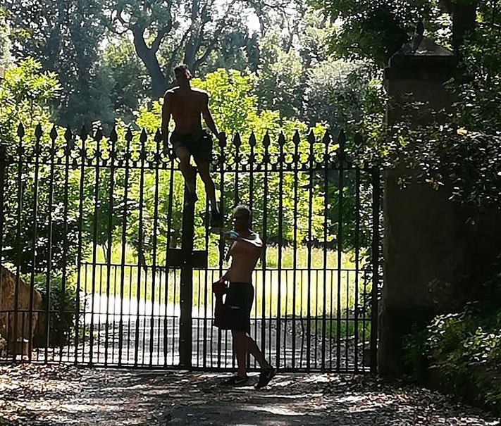 Balordi scavalcano il cancello del giardino inglese nella Reggia