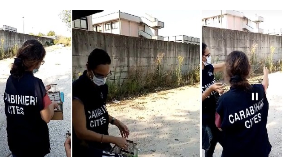Operazione anti-bracconaggio tra le province di Napoli e Caserta: 2 arresti