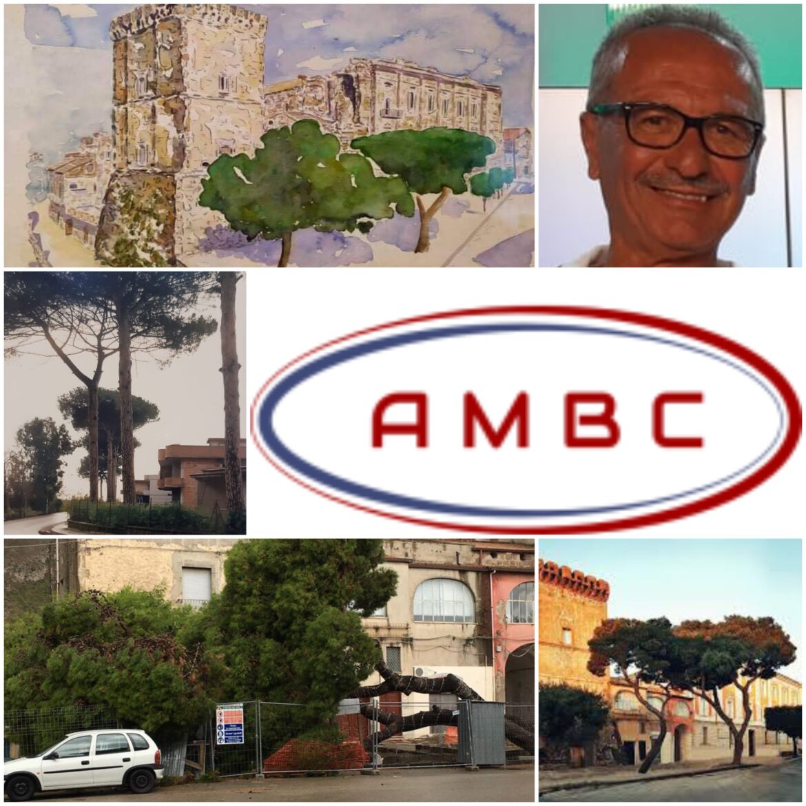 AMBC: Un  “povero” pino orfano di Consiglieri