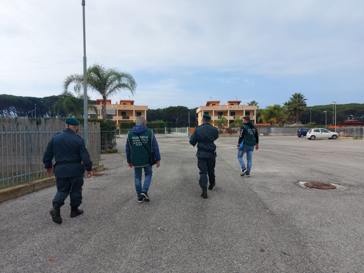 GUARDIE ECOZOOFILE ANPANA GEPA A CASTEL VOLTURNO : controlli su animali domestici
