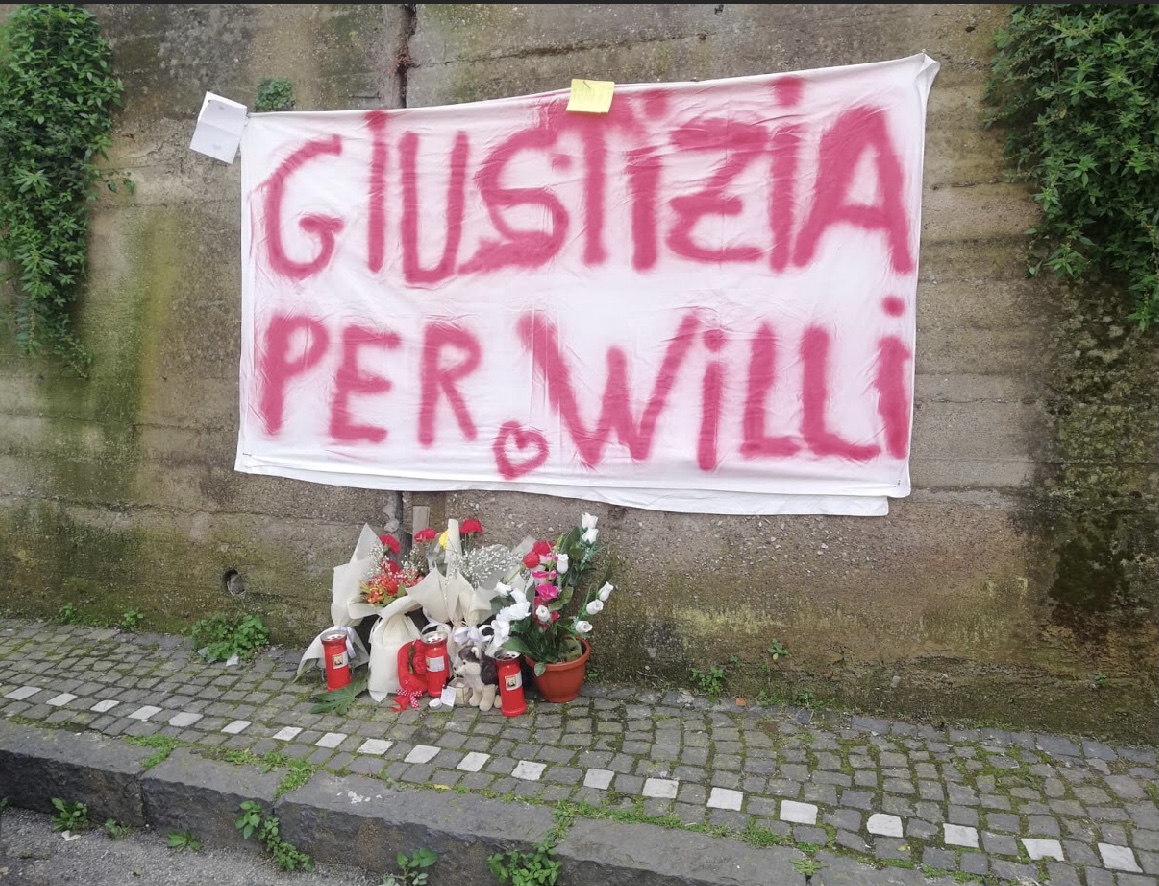 CANE UCCISO A FUCILATE A SOMMA VESUVIANA. L’OIPA CHIEDE GIUSTIZIA PER WILLI E DENUNCIA IL 70ENNE CHE HA SPARATO