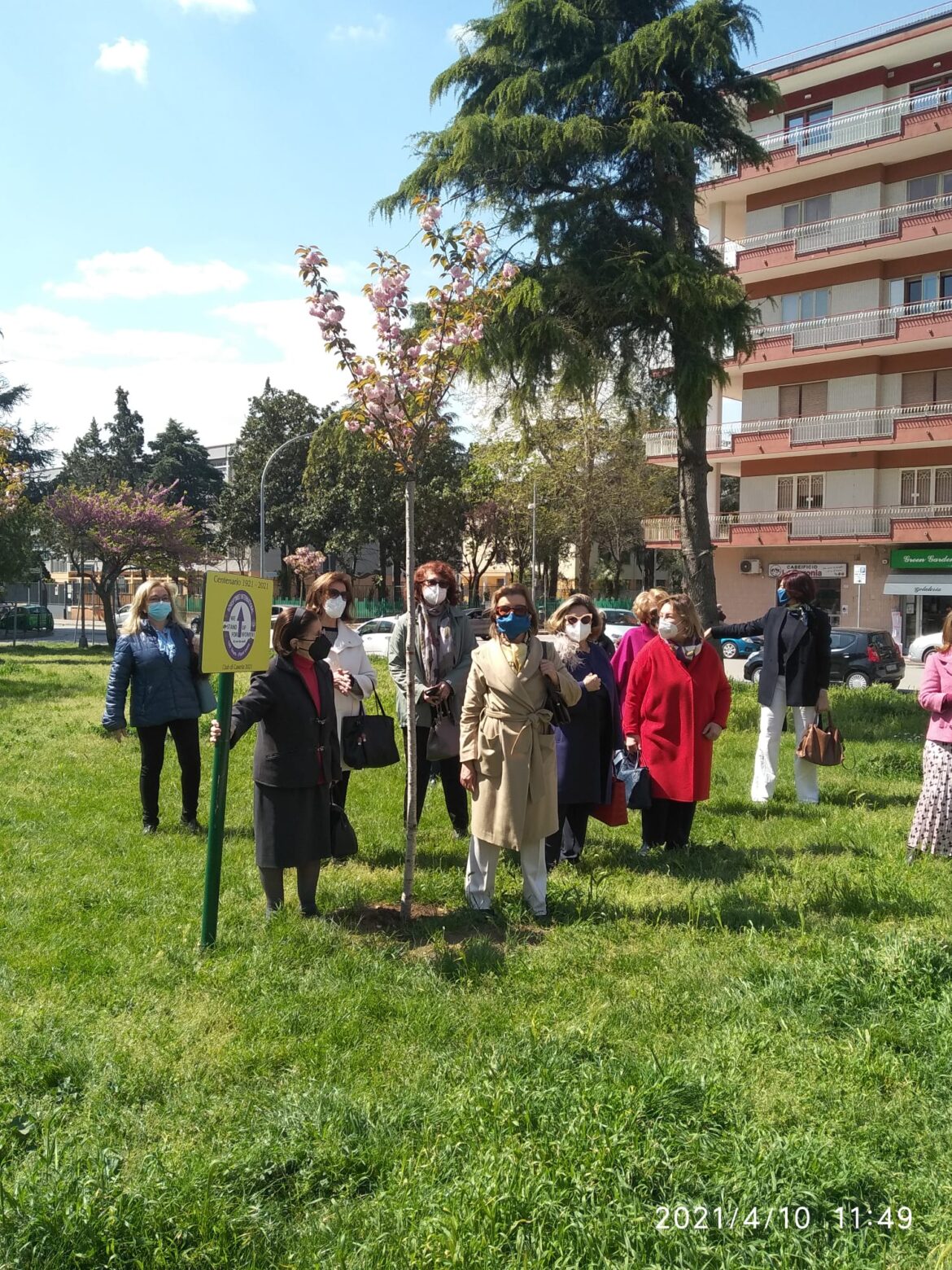 Chi pianta alberi crede nel futuro