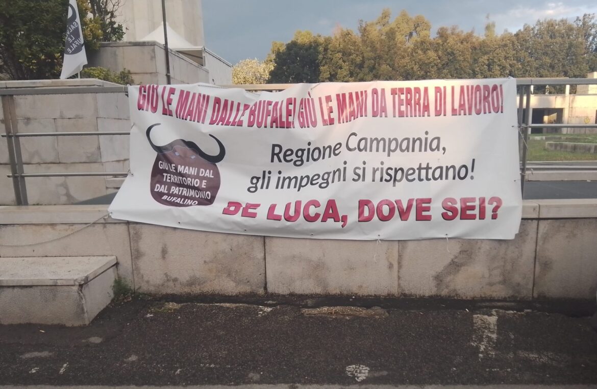 Multe alla Parmalat, anche grazie a Coldiretti Caserta