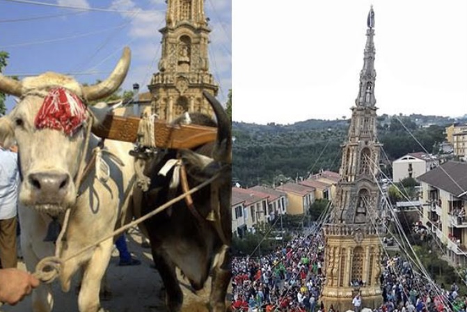 BUOI COSTRETTI A TIRARE UN OBELISCO LIGNEO DI 25 METRI PER 5 ORE ALLA FESTA PAESANA. L’OIPA DIFFIDA SINDACO DELL’AVELLINESE