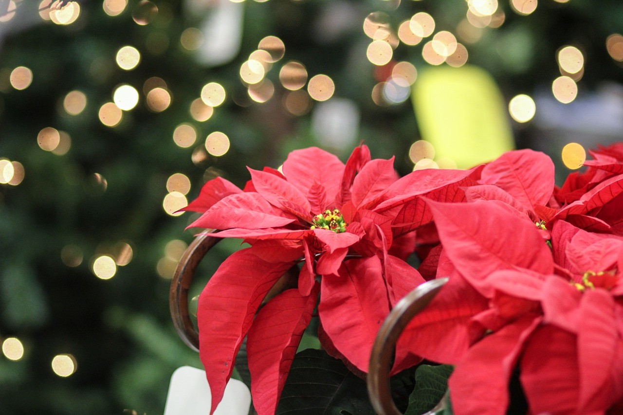Albero di Natale a LED con Palline 100 LED Bianco Caldo 150 cm | Leroy Merlin