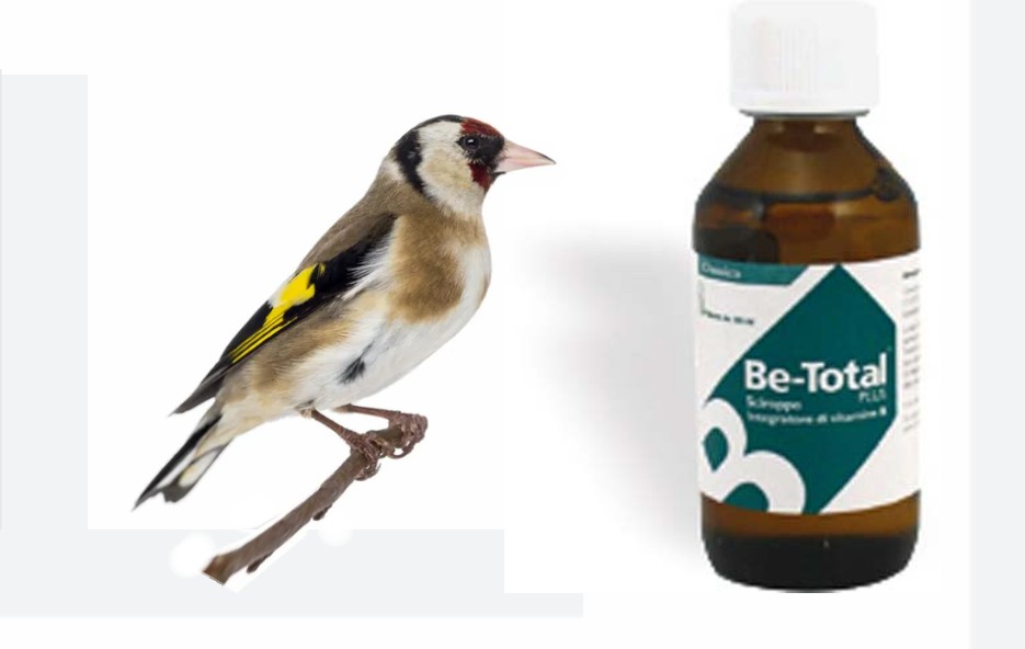 Betotal – Vitamina B per cardellini