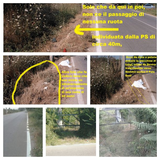 Video e  sopralluogo, dell’associazione AIFVS