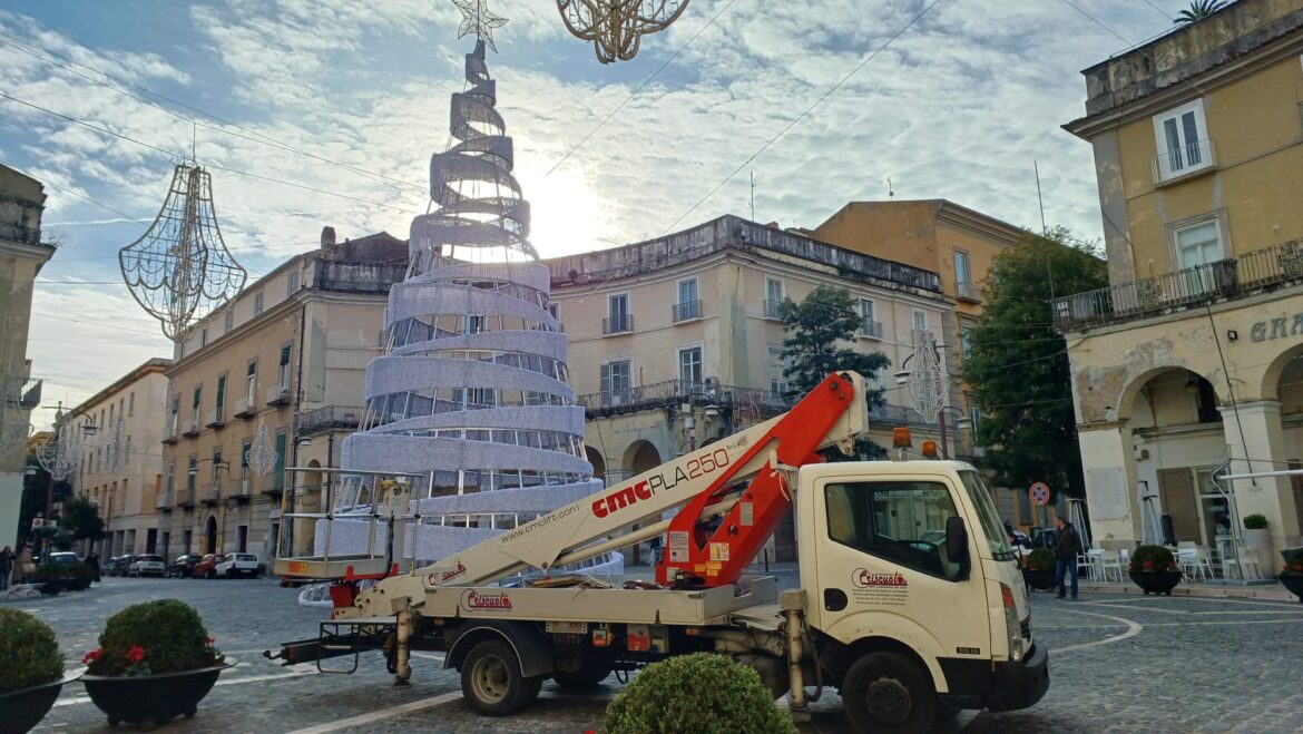 Caserta, in Piazza Dante è arrivato l’albero di Natale