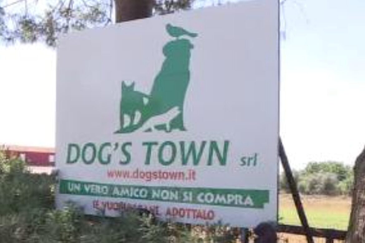 Sott’accusa la gestione del lager- canile Dog’s Town