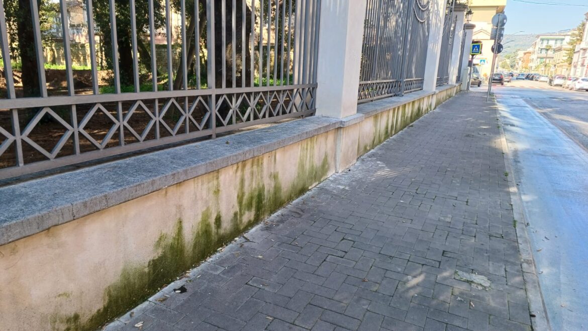 Il muro perimetrale della Reggia in Corso Giannone e il fenomeno dell’umidità da risalità.