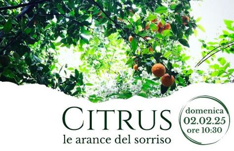 “Citrus, le arance del sorriso”: domenica 2/2, a Palazzo Tartaglione di Marcianise, raccolta fondi per ragazzi autistici